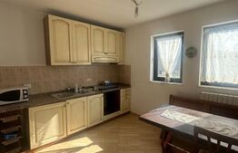 Casa 297 mp utili, zona Burdujeni 