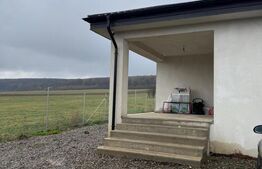 Casa pe parter, 4 camere, 5000 mp teren, zona Lipoveni