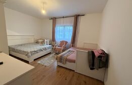 Casa pe parter, 4 camere, 5000 mp teren, zona Lipoveni