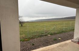 Casa pe parter, 4 camere, 5000 mp teren, zona Lipoveni