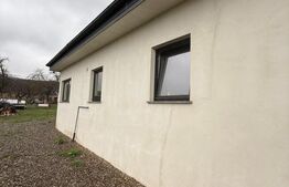 Casa pe parter, 4 camere, 5000 mp teren, zona Lipoveni