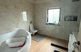 Casa pe parter, 4 camere, 5000 mp teren, zona Lipoveni