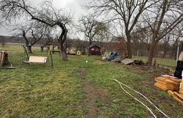 Casa pe parter, 4 camere, 5000 mp teren, zona Lipoveni