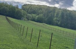 Teren intravilan, 2500mp, Voievodeasa, Marginea 