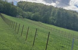 Teren intravilan, 2500mp, Voievodeasa, Marginea 