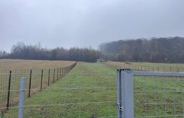 Teren intravilan, 2500mp, Voievodeasa, Marginea 