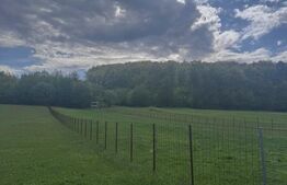 Teren intravilan, 2500mp, Voievodeasa, Marginea 