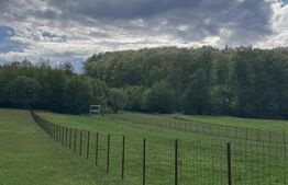 Teren intravilan, 2500mp, Voievodeasa, Marginea 