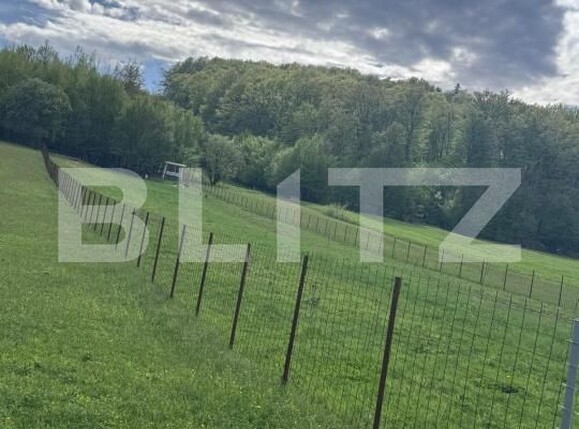 Teren de vânzare Marginea - 168269TV | BLITZ Suceava | Poza1