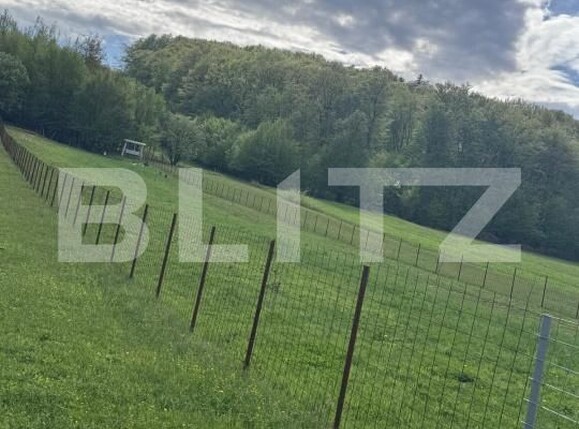 Teren de vânzare Marginea - 168269TV | BLITZ Suceava | Poza2