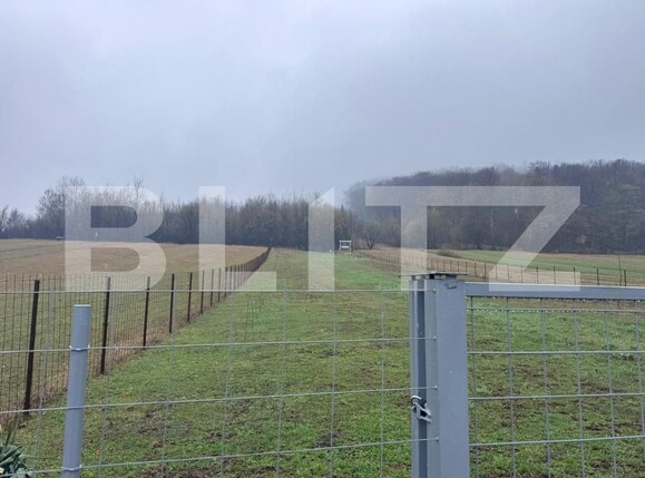Teren de vânzare Marginea - 168269TV | BLITZ Suceava | Poza5