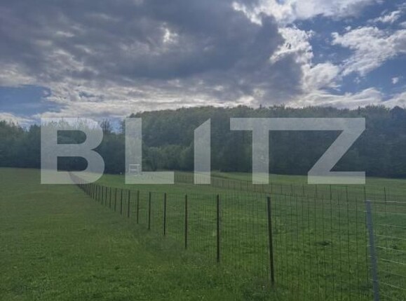 Teren de vânzare Marginea - 168269TV | BLITZ Suceava | Poza4