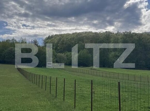 Teren de vânzare Marginea - 168269TV | BLITZ Suceava | Poza3