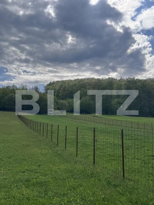 Teren de vânzare Marginea - 168269TV | BLITZ Suceava | Poza3