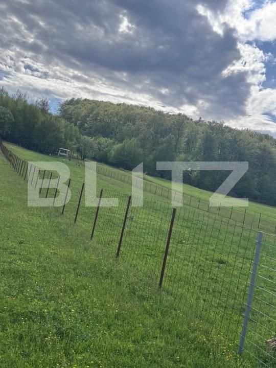 Teren de vânzare Marginea - 168269TV | BLITZ Suceava | Poza2