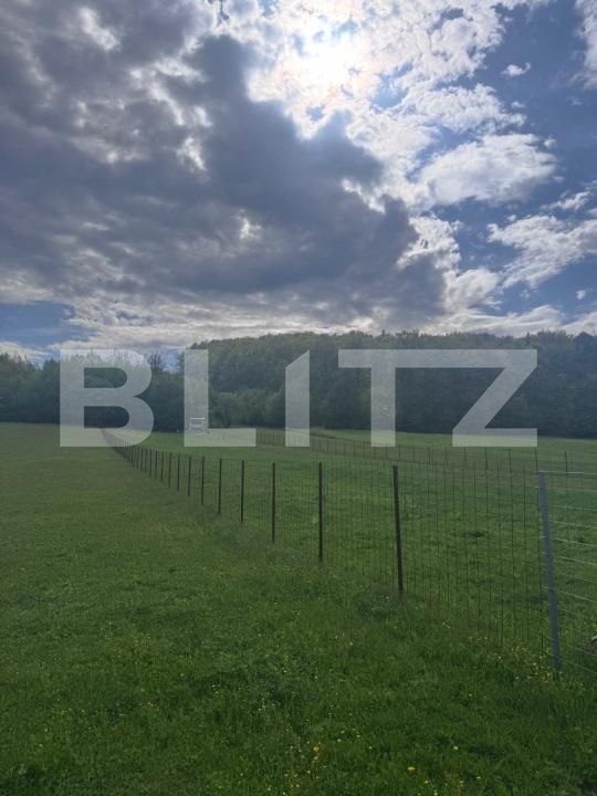 Teren de vânzare Marginea - 168269TV | BLITZ Suceava | Poza4