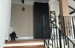 Casa individuala, 6 camere, 372 mp utili, zona Frumoasa 