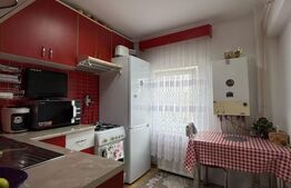 Microapartament, 40 mp utili, etaj intermediar, zona Burdujeni