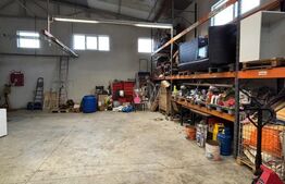 Casa cu 5 camere, 550 mp, teren de 800 mp, zona Salcea