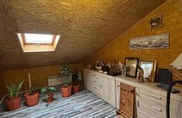 Casa cu 5 camere, 550 mp, teren de 800 mp, zona Salcea