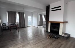 Oportunitate!! Casa individuala, afacere la cheie, Satu Mare