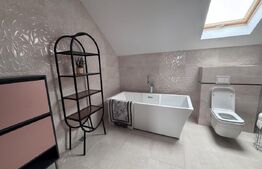 Oportunitate!! Casa individuala, afacere la cheie, Satu Mare