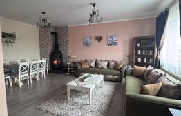 Oportunitate!! Casa individuala, afacere la cheie, Satu Mare