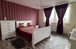 Oportunitate!! Casa individuala, afacere la cheie, Satu Mare
