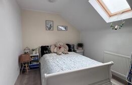 Oportunitate!! Casa individuala, afacere la cheie, Satu Mare