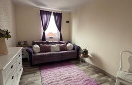 Oportunitate!! Casa individuala, afacere la cheie, Satu Mare