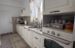 Oportunitate!! Casa individuala, afacere la cheie, Satu Mare