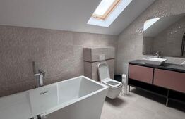 Oportunitate!! Casa individuala, afacere la cheie, Satu Mare