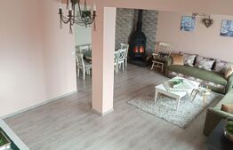 Oportunitate!! Casa individuala, afacere la cheie, Satu Mare
