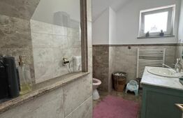 Oportunitate!! Casa individuala, afacere la cheie, Satu Mare