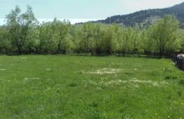 Teren intravilan de vanzare, 1921 mp, zona Vama, Suceava