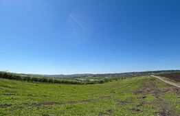 Teren Extravilan - Suprafață 4,404 mp - Vedere Panoramică