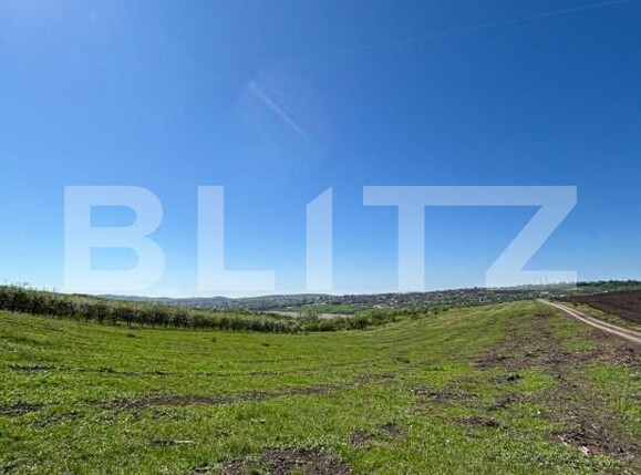 Teren de vânzare Falticeni - 168668TV | BLITZ Suceava | Poza1