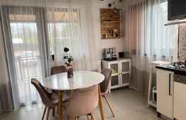 Casa individuala, cu 4 camere, 240 mp, 800 mp teren, zona Burdujeni