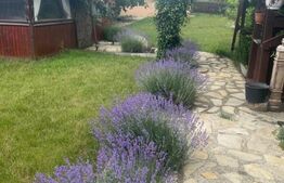 Casa individuala, cu 4 camere, 240 mp, 800 mp teren, zona Burdujeni