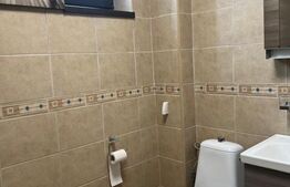 Casa individuala, cu 4 camere, 240 mp, 800 mp teren, zona Burdujeni