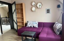 Casa individuala, cu 4 camere, 240 mp, 800 mp teren, zona Burdujeni