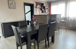Casa individuala, cu 4 camere, 240 mp, 800 mp teren, zona Burdujeni