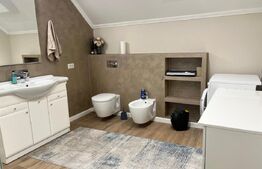 Casa individuala, cu 4 camere, 240 mp, 800 mp teren, zona Burdujeni