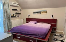 Casa individuala, cu 4 camere, 240 mp, 800 mp teren, zona Burdujeni