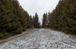  Casa deosebita , teren 2000mp, Radauti