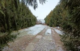  Casa deosebita , teren 2000mp, Radauti