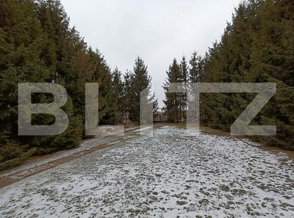 Casa de vânzare 5 camere Radauti - 168729CV | BLITZ Suceava | Poza6