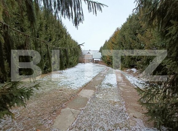 Casa de vânzare 5 camere Radauti - 168729CV | BLITZ Suceava | Poza7