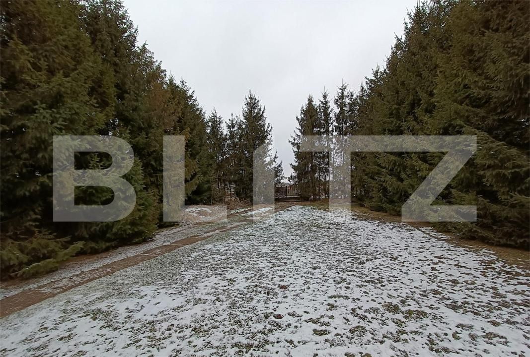 Casa de vânzare 5 camere Radauti - 168729CV | BLITZ Suceava | Poza6