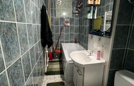 Apartament cu 3 camere, 55 mp, parter, zona George Enescu